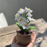 Handmade Crochet Jasmine Flower Pot | Realistic White Jasmine Plant with Pot | Aesthetic Home Decor | Gift for Her | Tabletop Decoration | Eco-Friendly Handmade Craft